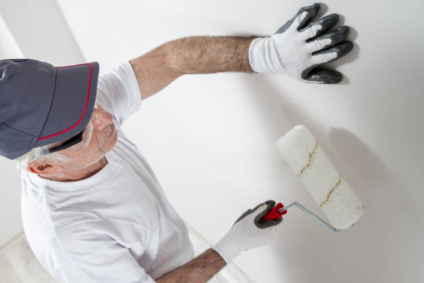 Best Asbestos and Lead Testing During Mold Inspection  in Riverse, ID