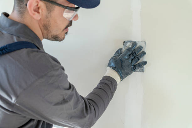 Best Basement Mold Removal  in Riverse, ID