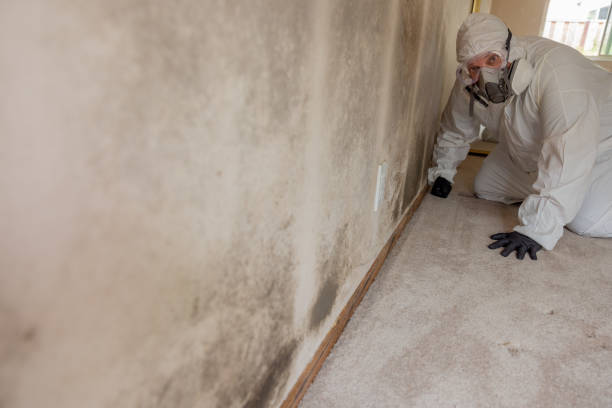 Best Crawl Space Mold Remediation  in Riverse, ID