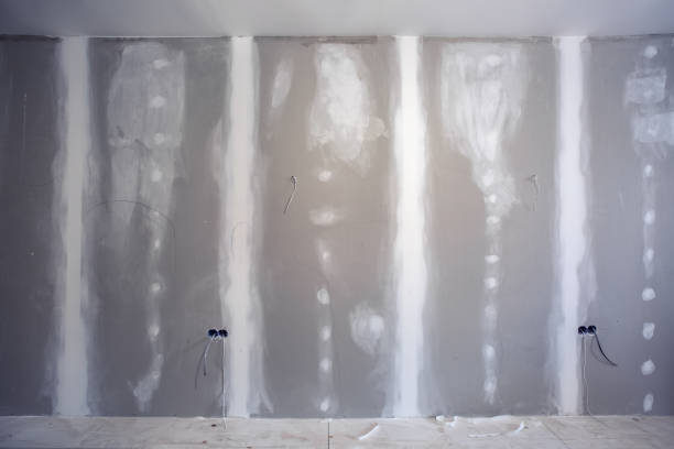 Best Mold Documentation for Insurance Claims  in Riverse, ID